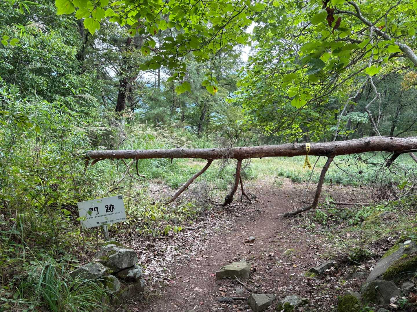 要害山登山口-要害山 周回コースの写真