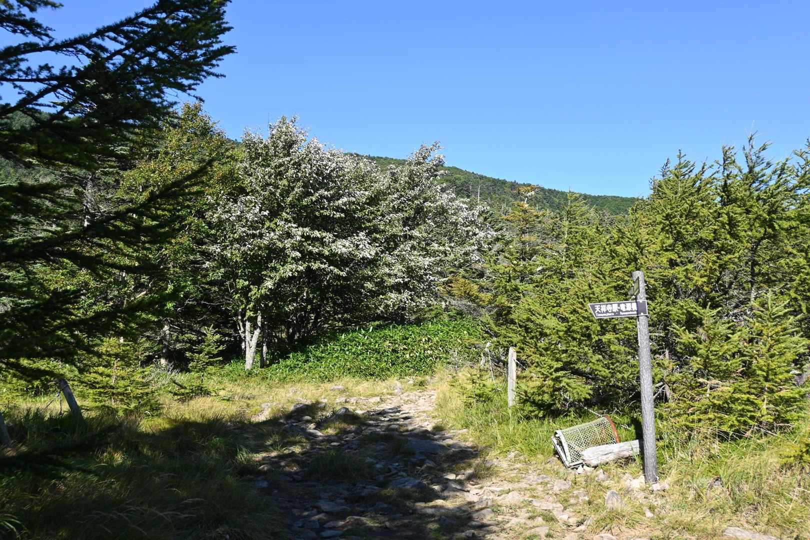 登山口では☀だったんですが…