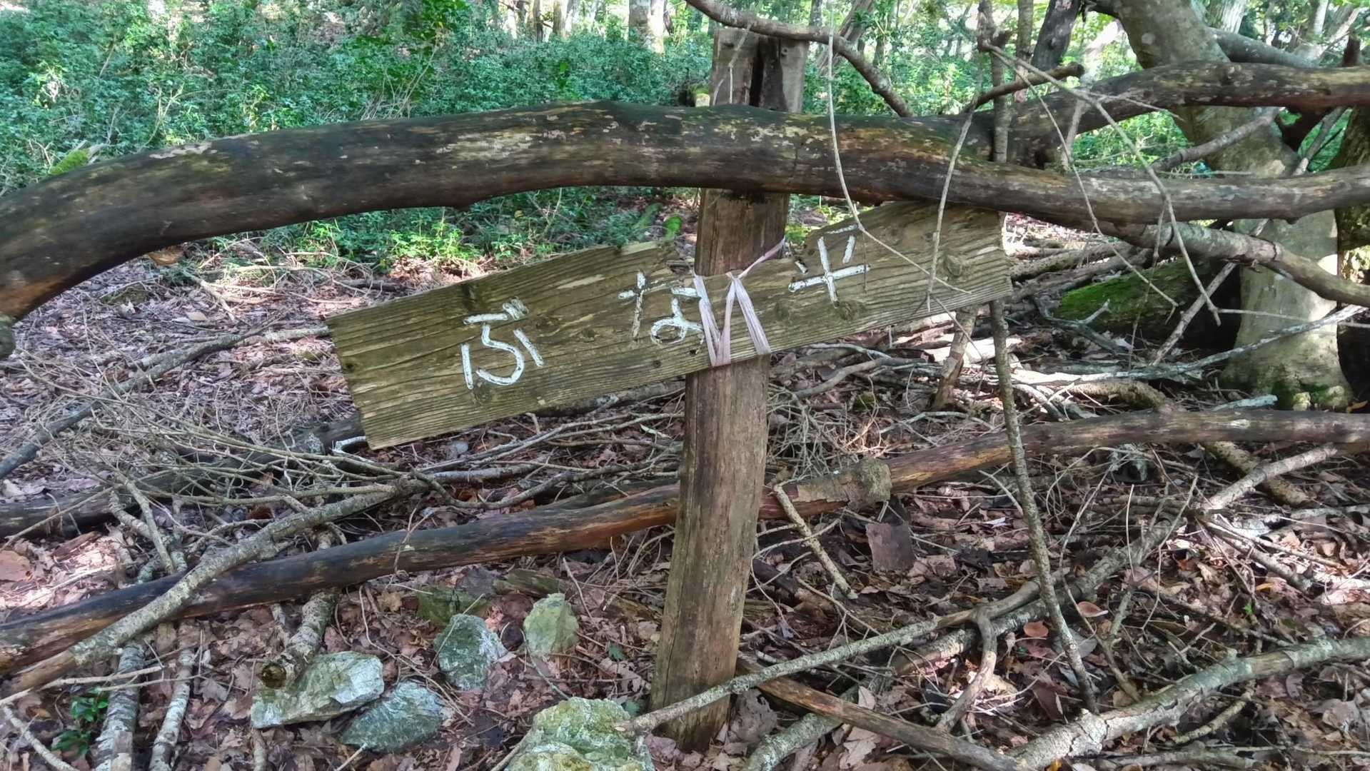ぶな平🌳