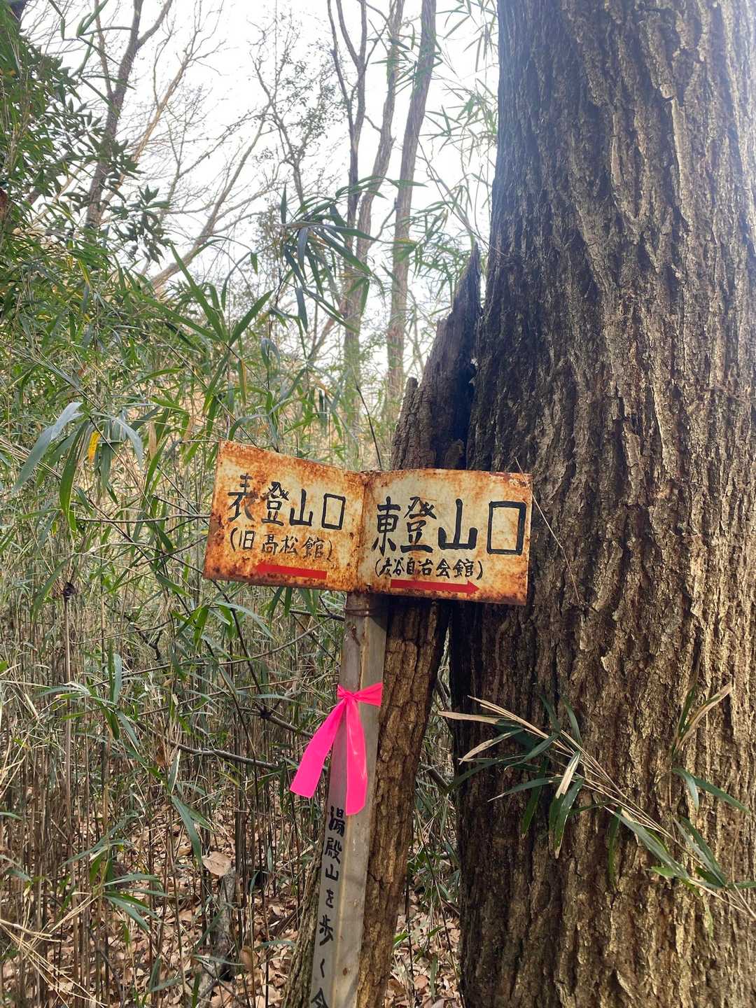 要所要所に金属製の標識🙃錆びているところがノスタルジーを呼び覚まします🥹