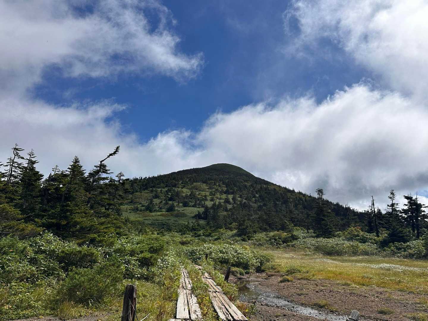 小岳もきれいに見えています