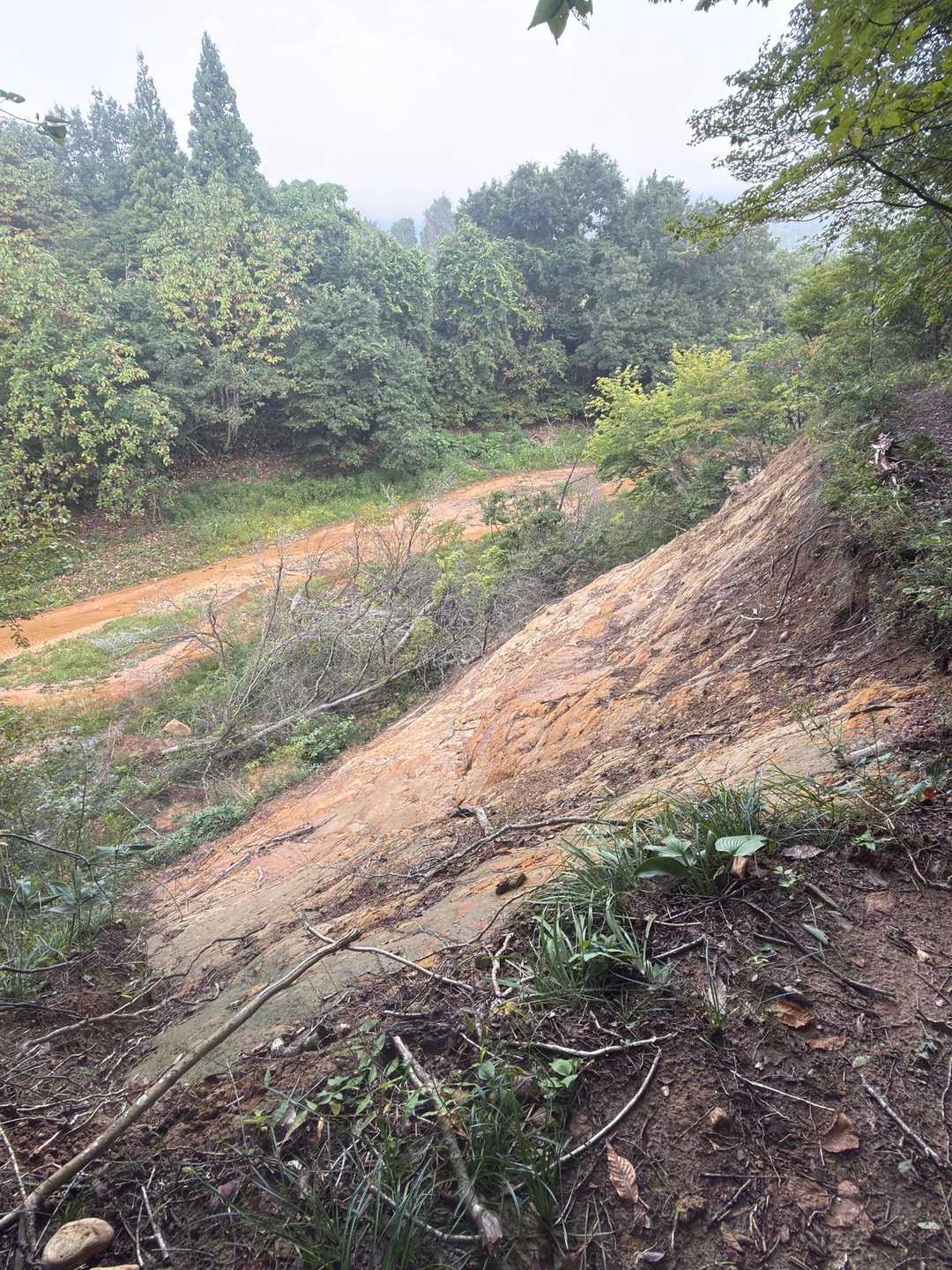 ▶️半時計周り、登山道脇崩落しており、
注意が必要⚠️