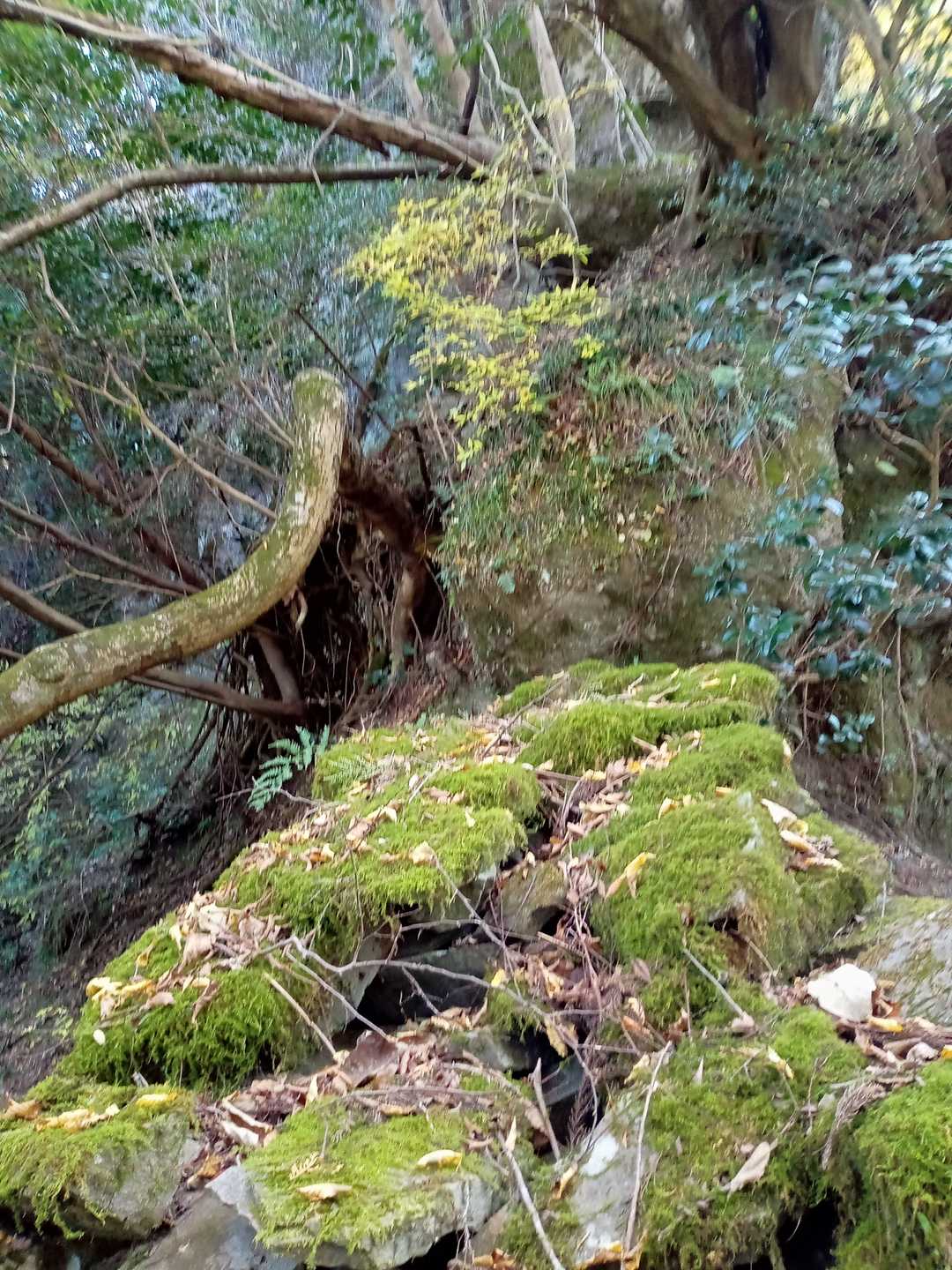 本丸へ向かう