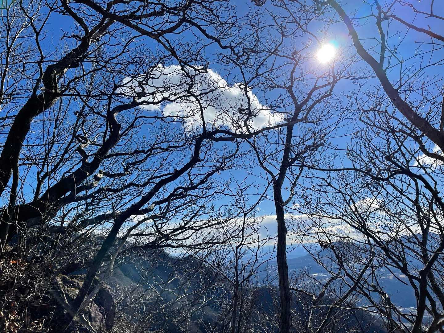 太陽が当たるとあったかい