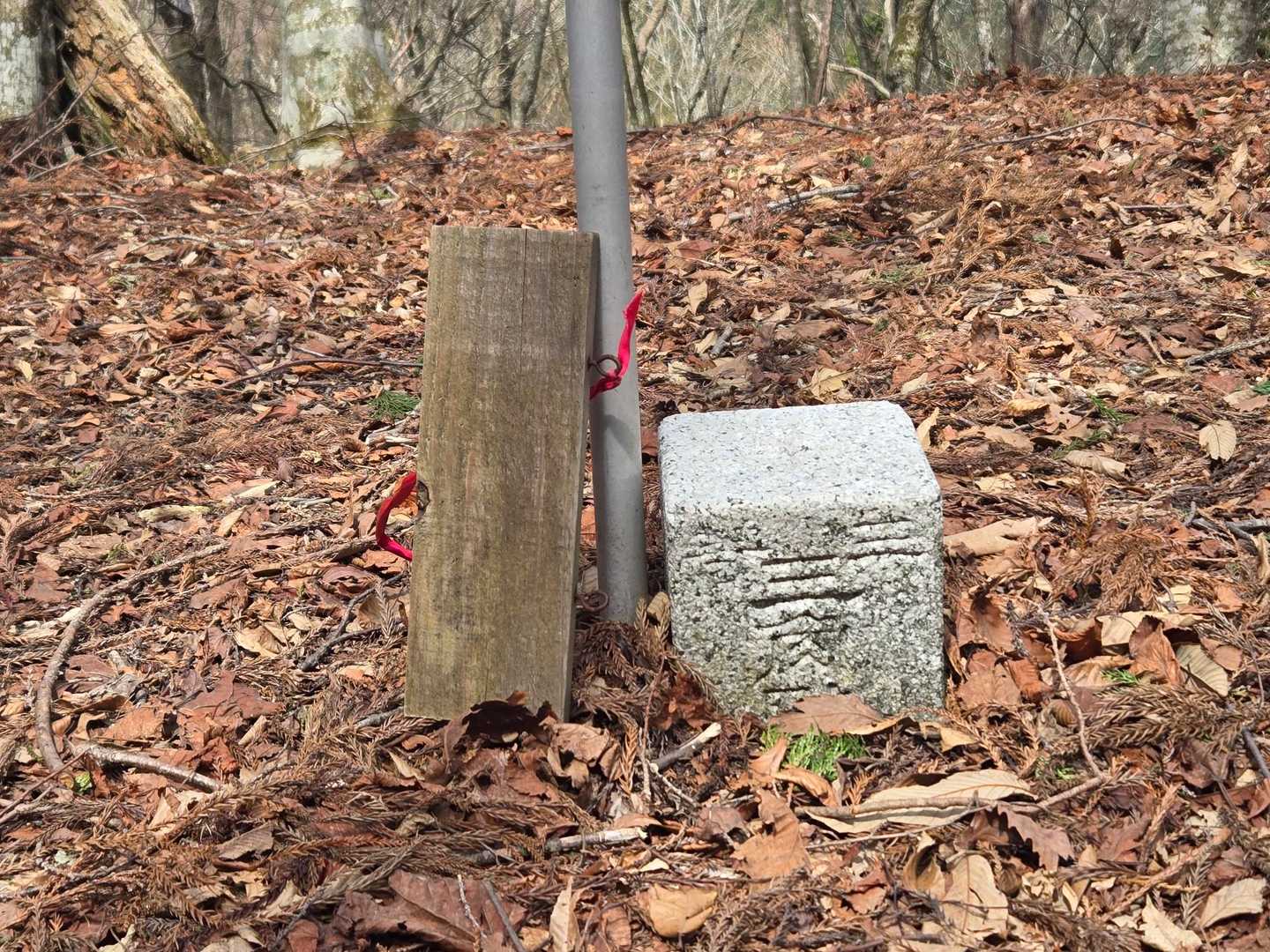 そして古権現山にトウチャコ！
※以前の標識らしき板が 落ちていたので…