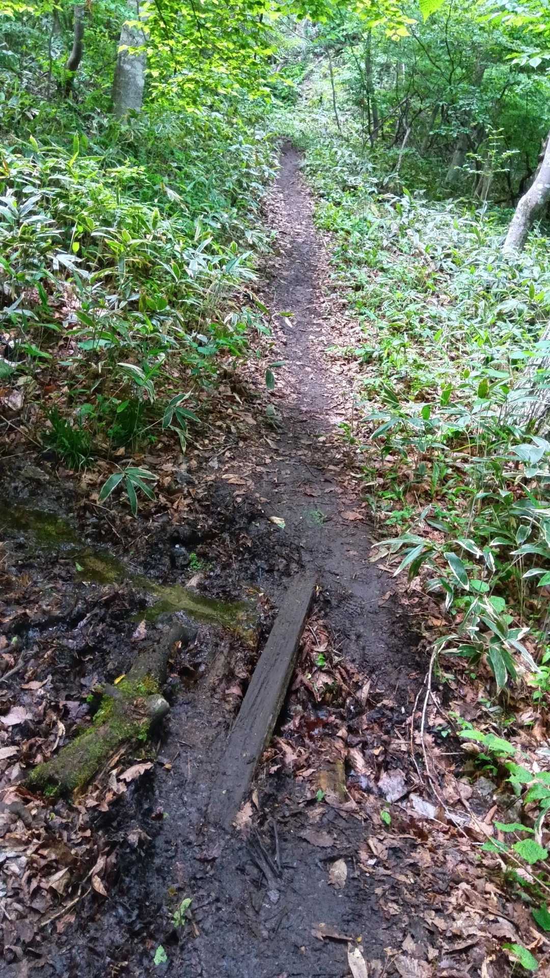 細く水が流れておりました