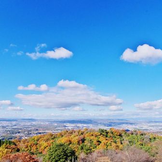低山なのにめっちゃ展望いい🗻 
奈良の街を見下ろせる趣があって最高