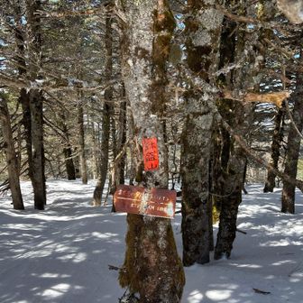 鉢盛山とうちゃこ