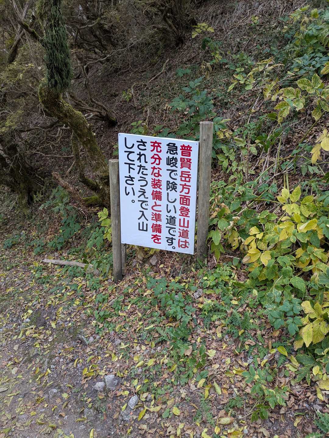 おーなんか緊張する〜(｀･ω･´)ゞ