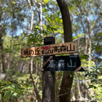 高森山へ‼️