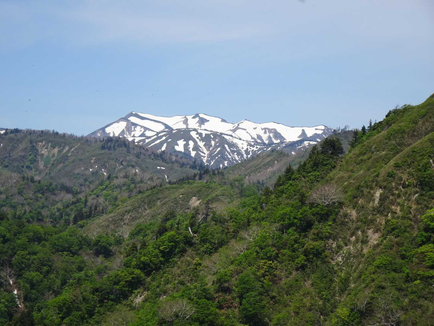 この雪山は別山❓