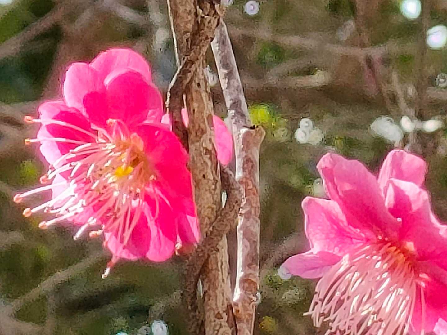 新たな気持ちで💞