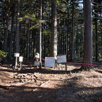 登山口にはピンクテープ🎀
「入山禁止かな…？」と一瞬ひるんでしまいました🙁