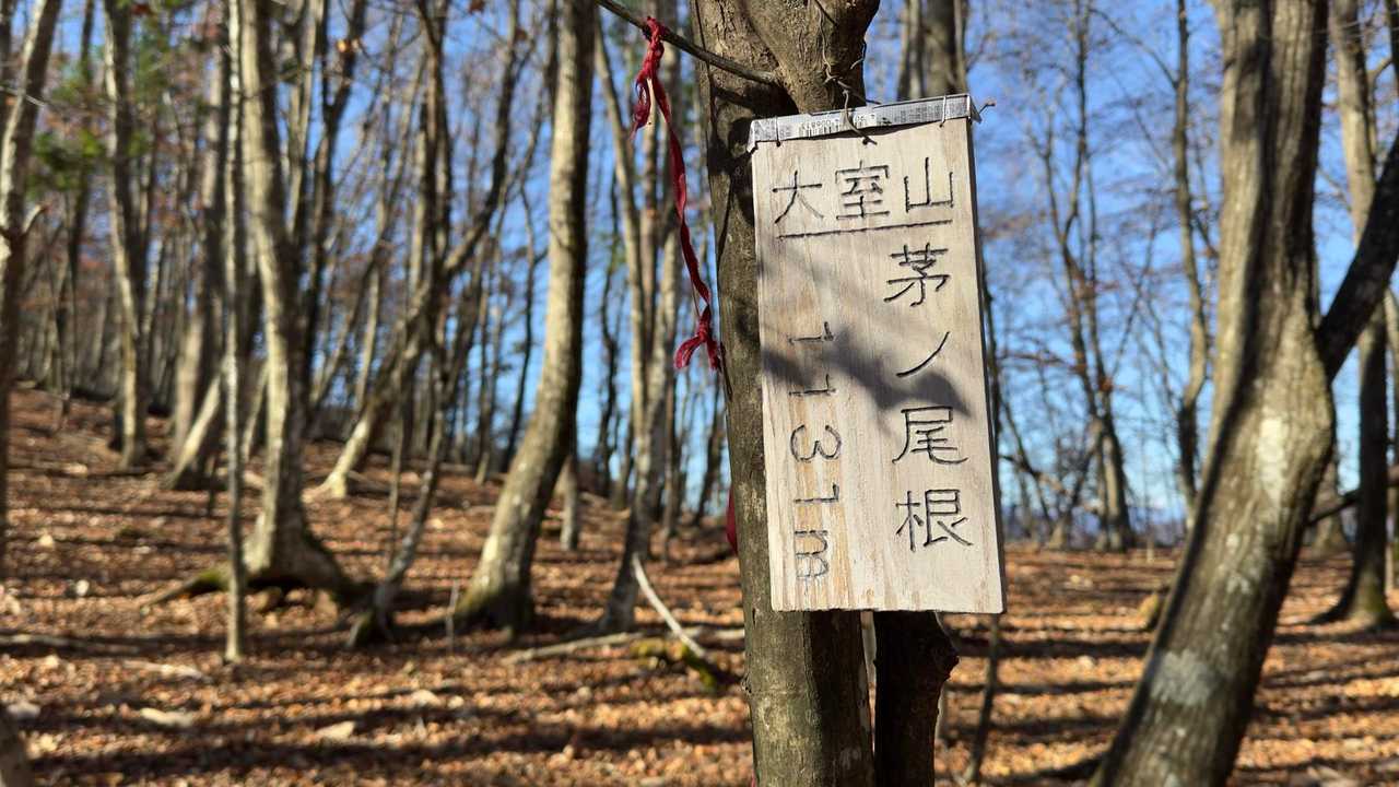 大室山 の写真 3