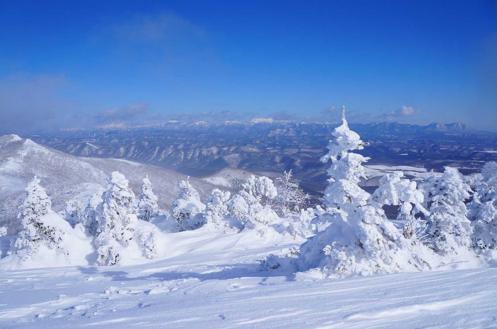 佐幌岳登山口-桜山-佐幌岳-奥佐幌岳 往復コースの写真