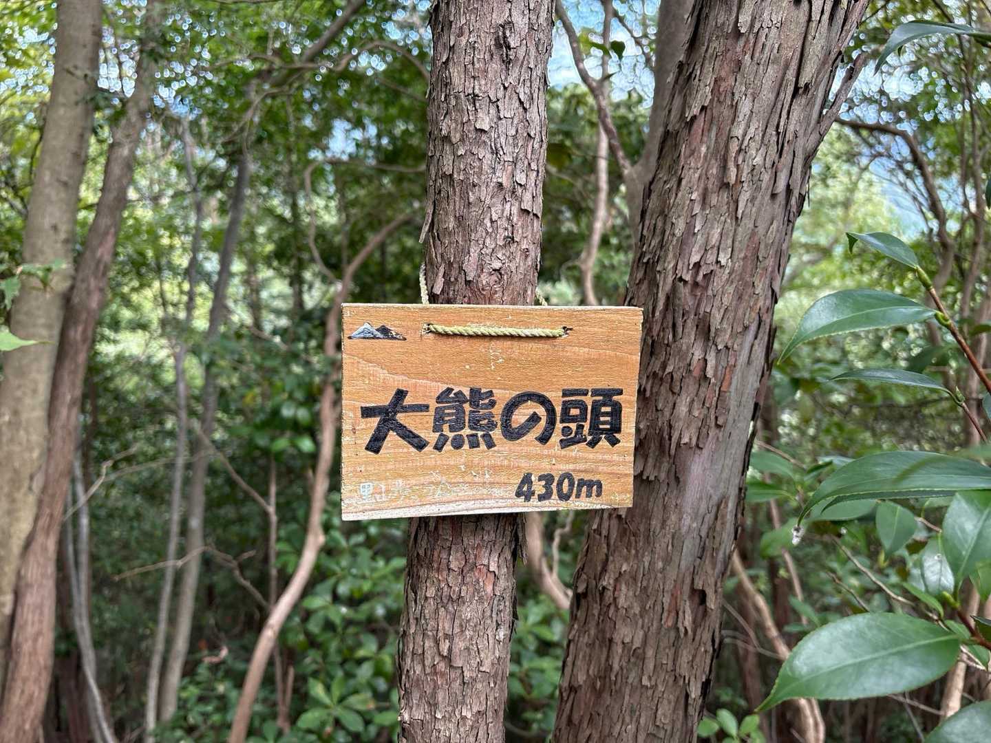 ③座目　大熊の頭⛰️