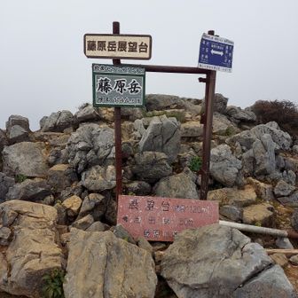 山頂到着