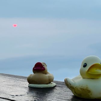 微かに見えたご来光🌅