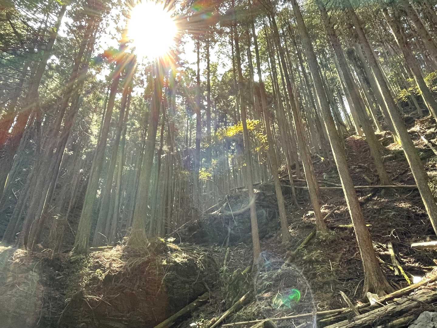 良いお天気に恵まれて感謝します🥺
