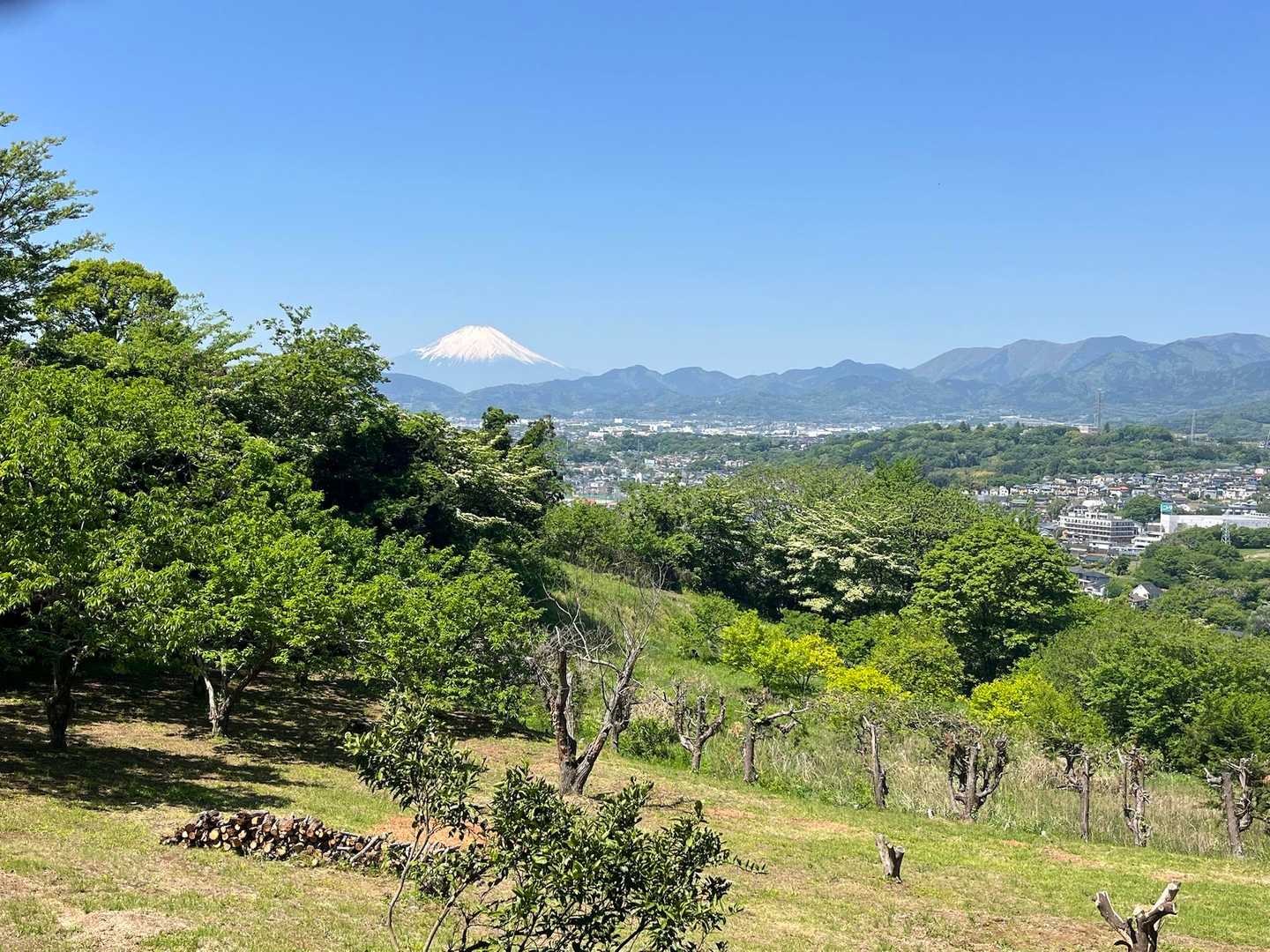 いいお天気、富士山がよく見えました