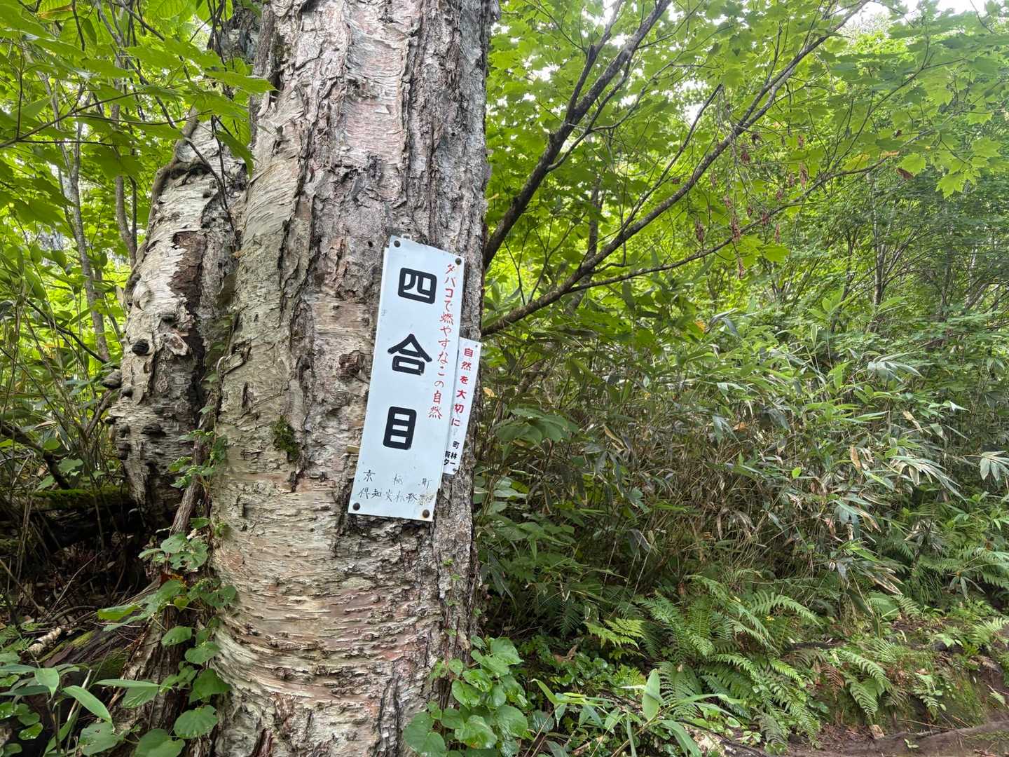 熱さが少しずつ快感に😁