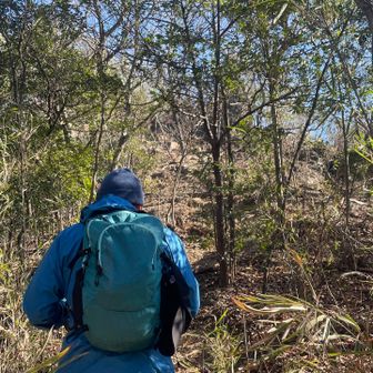 気合いの背中🤟