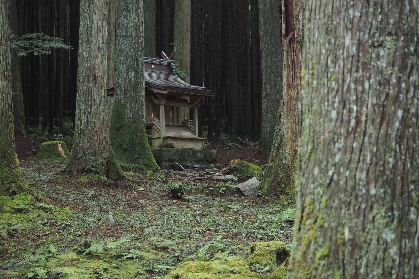 下りてきて薩都神社