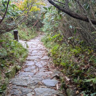 甚之助とおちゃこ。
毎度この石畳見るとホッとしますな。