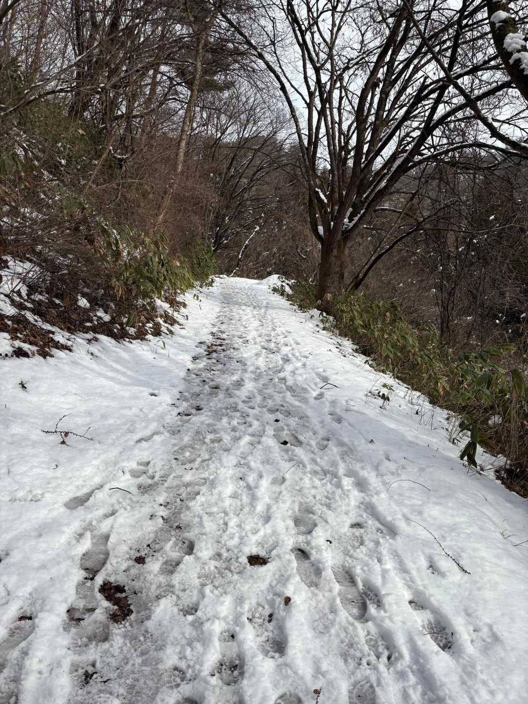 歩きやすい🚶‍♀️🚶🚶