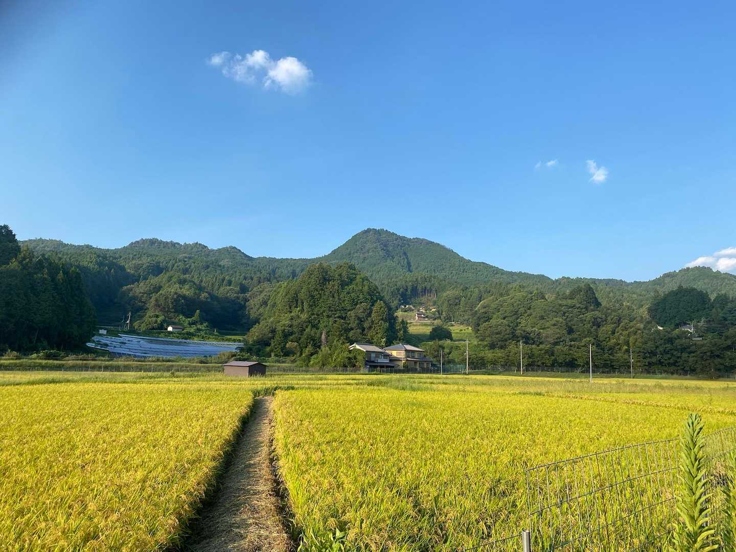 伊那佐山 往復コースの写真