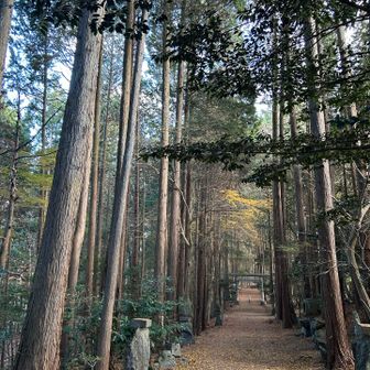 釜山峠に向けて参道を戻ります。