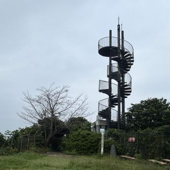 大楠山展望台は現在登れませーんが、
雨量レーダー横の展望台は登れます。