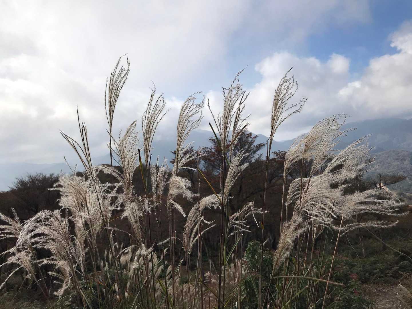 釈迦ヶ岳-猫岳 周回コースの写真