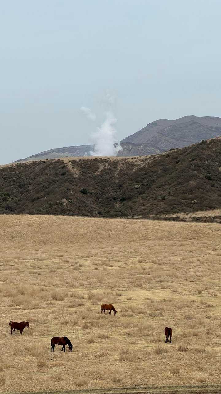 駒立山、草千里ヶ浜散歩 の写真 3