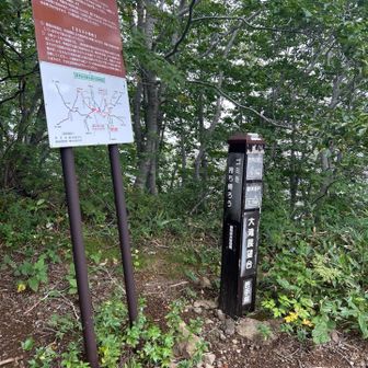展望台まで戻り
無心で下るー