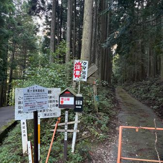 千草街道を歩いて行きます