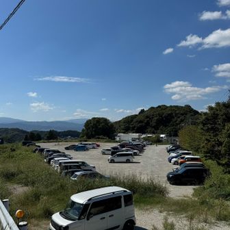 だいぶ増えた