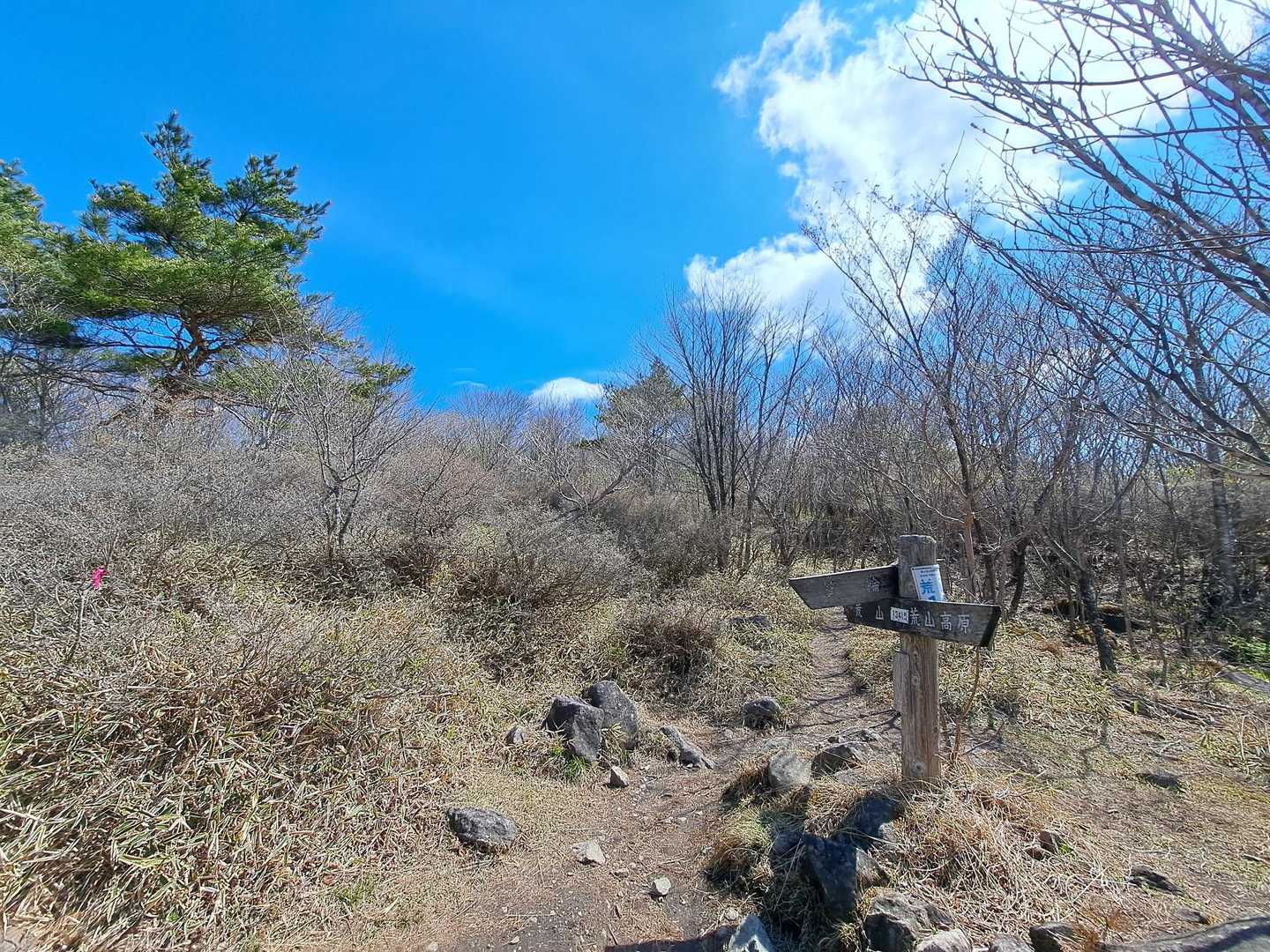 　荒山高原と荒山を結ぶ尾根道登山道に合流。一時間弱歩きましたのでここで小休止。