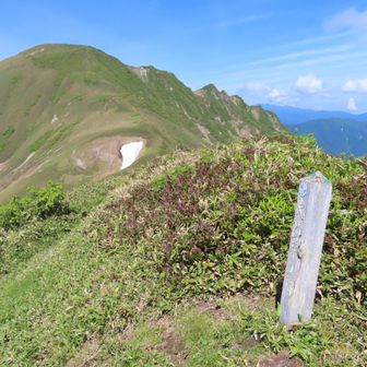 大障子ノ頭より、万太郎山