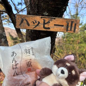 実家のちーちゃんはチワワ🐶
TOMちゃん、可愛いチワワありがとう📸
福井と言えば羽二重♡
羽二重あんぱんまでありがとう😋
ハッピー♡