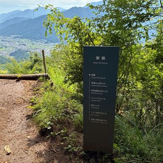 御殿山頂