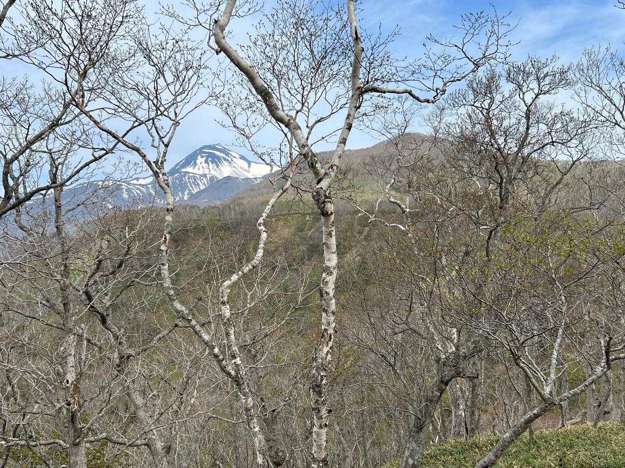 左が羅臼岳、右のピークがこの後行く英嶺山。