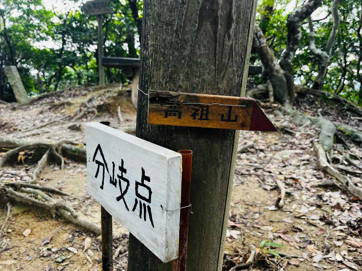 そして、次行こ！