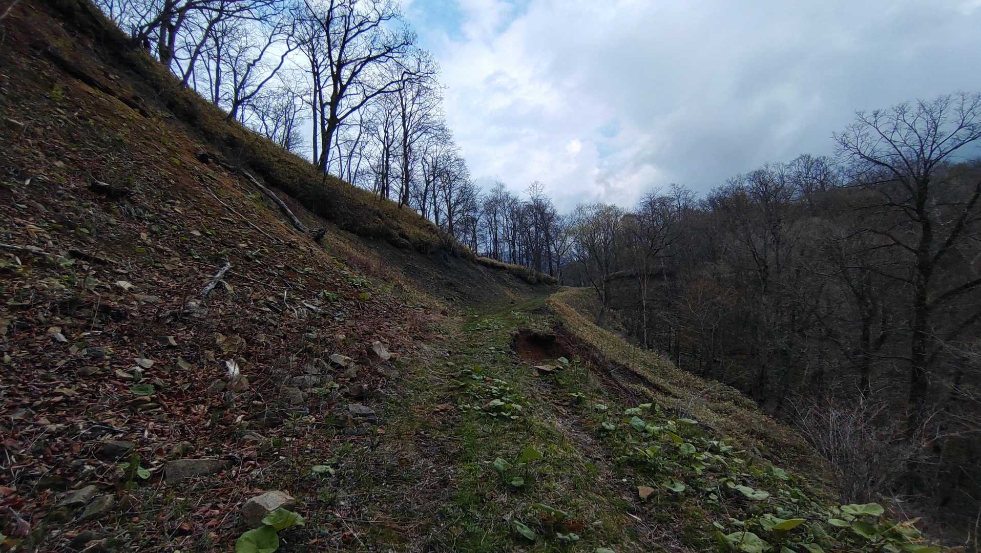 前ペラリ山-ペラリ山 往復コースの写真