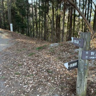 宝登山頂方面へ