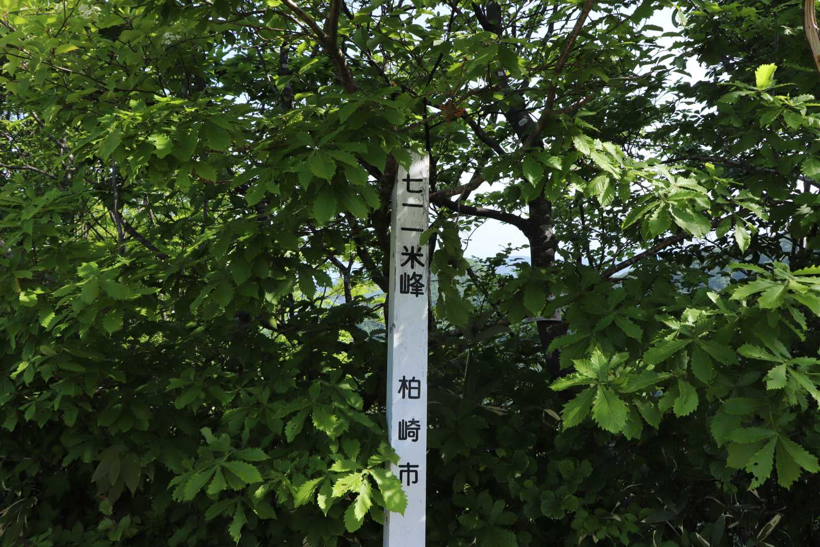 そして中間地点とも言える711ｍ峰…よねみねでは無いよ
( ´∀｀ )