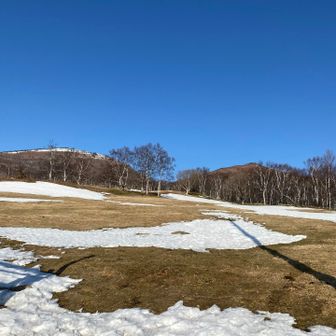四阿高原の牧場と違って、鹿の糞がない‼️🦌