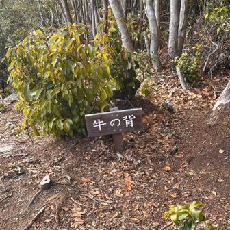 展望台になっていて休憩ならココがお勧め