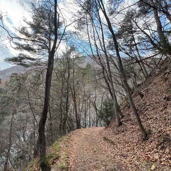 太郎山が近づいて来て・・・