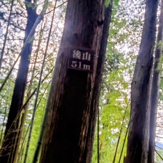 道は無く高みを目指して
後山51m登頂🙌
福井市のHPによると
全長44mの前方後円噴
発掘調査されていないが、造営時期は4世紀末頃。中世には山城に利用された。
整備されておらず、植生が繁茂する時期は、古墳への到達が大変困難。
藪藪になるってこと？やはり🤣
夏場の登頂は避けましょう😁